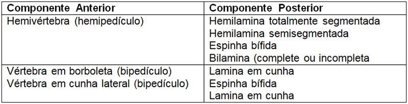 escoliose congenita 06